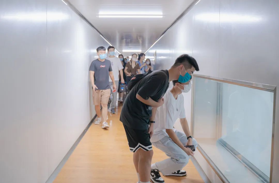 “青年看宜阳”专题活动走进来利国际app食物_来利国际app